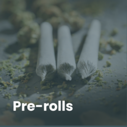 Cannabis pre-roll