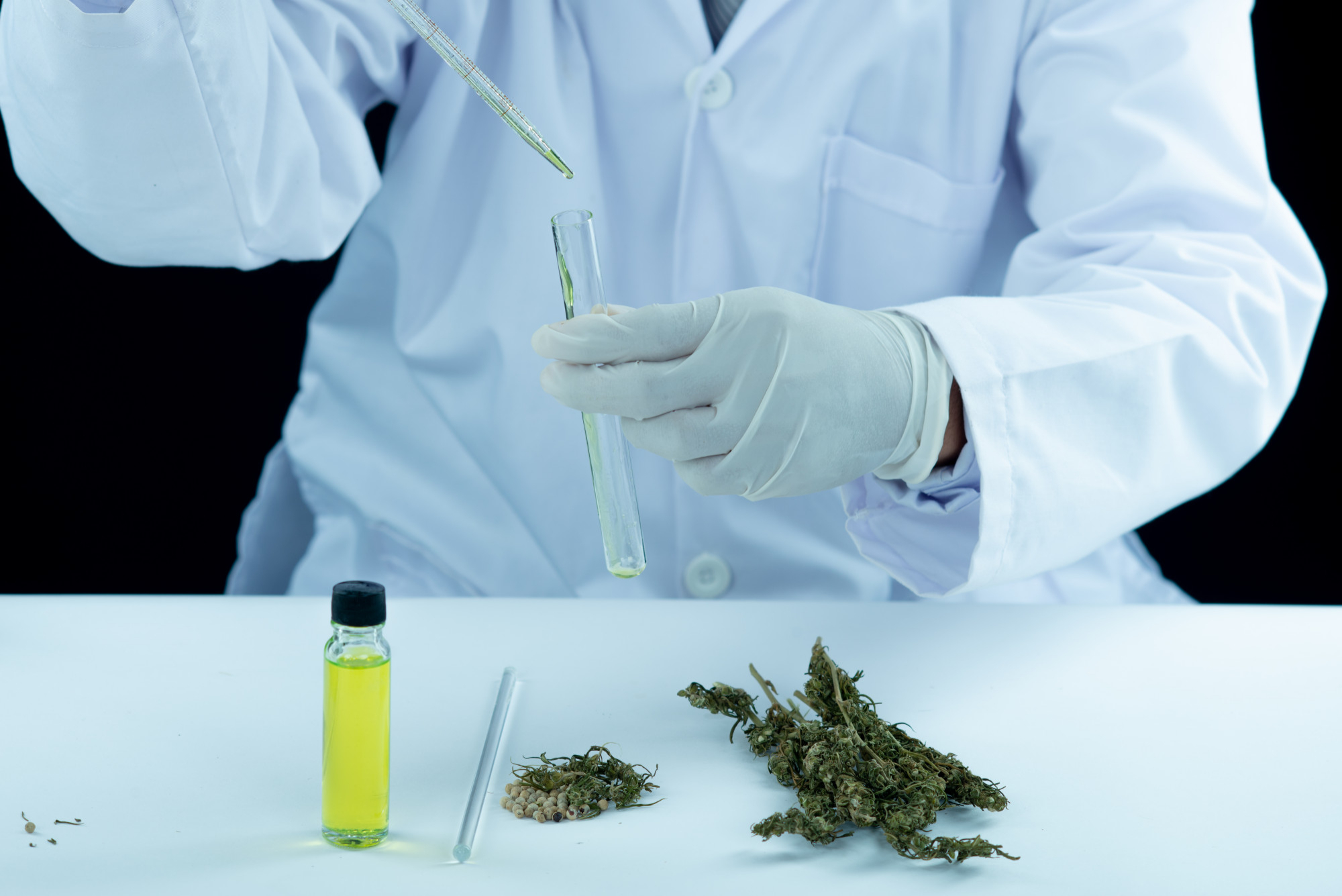 medical expert holding medical marijuana and cbd oil