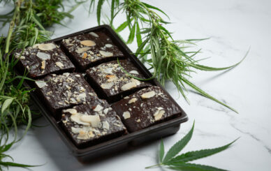 Getting Started with Cannabis Edibles - cannabis brownies and cannabis leaves put on white floor