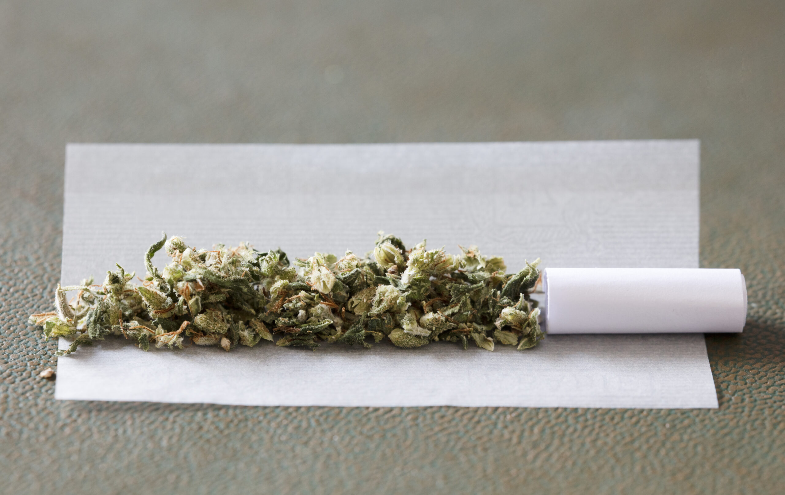 Understanding THC potency - marijuana-buds-cigarette-paper-with-white-filter